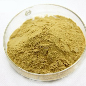 Ginger Extract